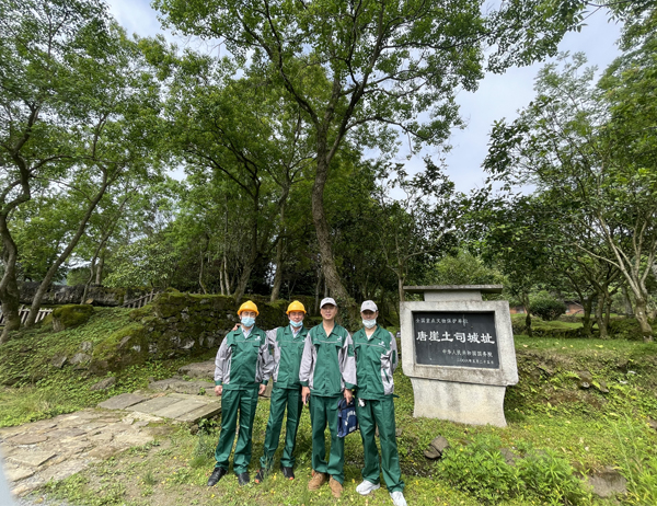 古建筑白蚁防治案例