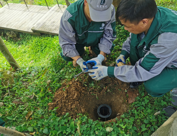 古建筑白蚁防治案例